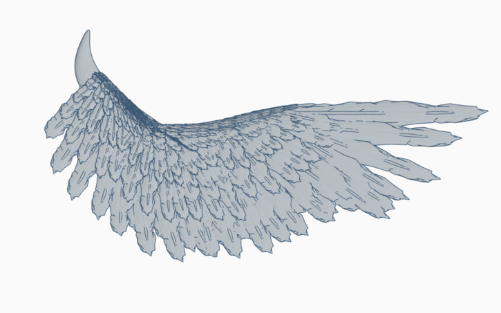 Tinkerwing 3D design Wing Textures - Tinkercad