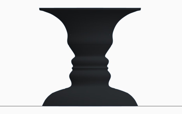 Rubin's Vase Illusion
