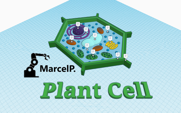 Plant Cell With Notes - Tinkercad