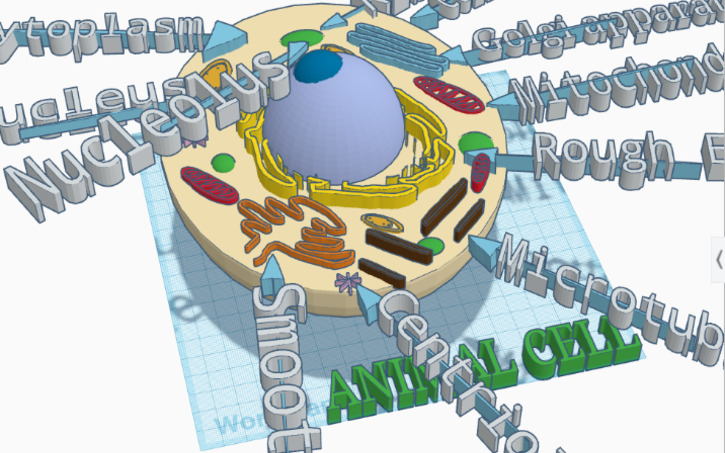 Test Cell Tinker 3D design Cell - Tinkercad