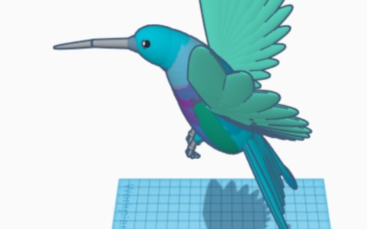 3D design Hummingbirds - Tinkercad