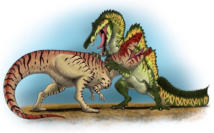 3D design Spinosaurus vs Carcharodontosaurus - Tinkercad