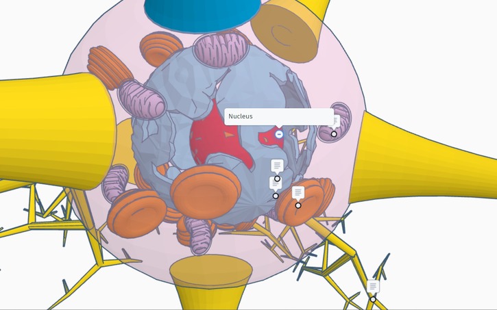 3D design (Last) Brain Cell - Tinkercad